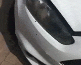 2017年不解之谜之前灯中的鸟，究竟是怎么进去的~~ - How did birds enter the lantern before the mystery of 2017?