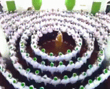 The green hat teaches the teaching ceremony?,绿帽子教入教仪式？