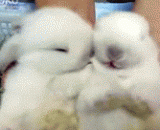 宝贝，来亲一个，好爱你哦 - Baby, come to kiss one, love you well