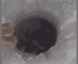 鱼：你好歹拿个鱼饵，这样太不尊重我了吧？ ​​​​ - Fish: Hello, why don't you take a bait so you don't respect me? ​ ​ ​ ​