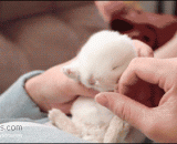 中午不睡~~~下午崩溃~~~差不多就是这个样子吧！ - Do not sleep at noon ~ ~ afternoon collapse ~ ~ almost like this!