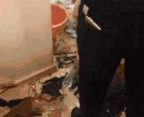 How do dog meat stew,狗肉怎么炖好吃