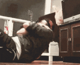 Can the cat still want it? Sooner or later, it is in its hands,这猫还能要？迟早死在它手里