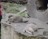 Quick note! Is it big or small? Buy your hand!,快下注！押大还是小？买定离手！