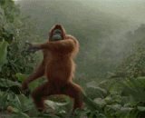 跳舞的大猩猩，我的热情，好像一把火，燃烧了整个沙漠！[3P] - Dancing gorilla, my enthusiasm, like a fire, burning the entire desert! [3P]