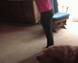 Master! You know what? I've been waiting for this opportunity.,主人！你知道吗？我一直在旁边等这个机会