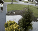 态度不好的快递员....让你不出来自己拿 - A bad courier... So you can't come out and get it yourself.