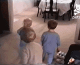 一只见到小主人异常兴奋的汪星人，三连击，好风骚的走位！ - A Wang Xing who was very excited to see his little master, three consecutive combatant, good humor!