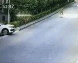 卧槽啊，一转身这车就不见了！好快呀 - Lying in the grooves, the car is gone as soon as it turns around! How fast