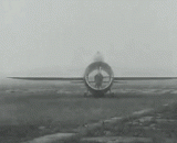 Is the legendary World War II Italy's fighter aircraft used to sell Meng?,传说中二战时意呆利的战机，是用来卖萌的吗