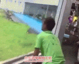 Chimpanzee's Gang, can be the Apes,猩猩之伙，可以撩猿