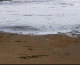 咦？ 我这是在那？？ - Why? That's where I am?