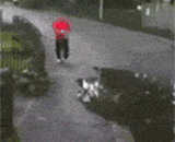 走路的时候，一定要远离水坑，防止被坑 - When you walk, you must stay away from the puddle and prevent it from being caught.