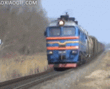 和火车赛跑的汪星人 - Wang Xingren and the train race