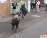 公牛看见用ipad拍照的人就不爽，然后进行了制裁~ - The bull saw that people who took photos with iPad were upset, and then imposed sanctions.