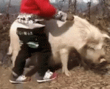 你我就此别过，兄台不必相送，后会有期..... - You and I don't have to do this. There's no need to send a brother to Taiwan.