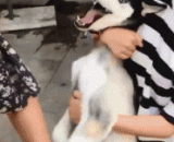 快来人啊，抢劫啦，杀人啦.... - Come on, rob, kill...