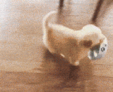 主人主人，现在可以开饭了吗 - Master, can I have dinner now