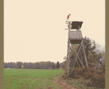 教你怎么一跃而下毫发无损！ - Teach you how to jump out of no damage!