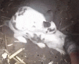 你男朋友的第一次是这样？ - The first time for your boyfriend is this?