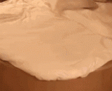 How about this bed?,这个床怎么样，约不约！