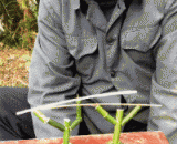 I know it's all big.,知道这个的都已经老大不小了