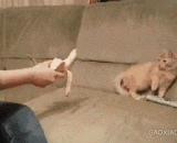 魂淡主银，快拿走，这东西是你用过的 - The soul is weak and the silver is taken away. This thing is used by you.