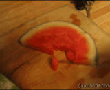 浣熊吃东西总是偷偷摸摸的 - Raccoons are always stealthy for food