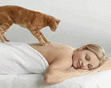 A meow man massaged to a beautiful woman,给美女按摩的喵星人