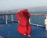 It's a tragedy for you to blow the wind and wear a long skirt.,让你刮大风还穿长裙，这下悲剧了吧