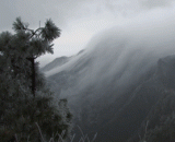 Mount Lu is a dragon... Waterfall cloud wonder,庐山升龙……瀑布云奇观