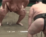 Six chest men, fat is very style,六胸男，胖的很有风格