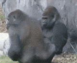 Let you despise the labor!,让你特么鄙视劳资！