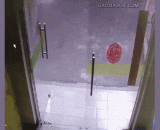 狗：我似乎感受到了一支上帝之手甩了我一巴掌 - Dog: I feel like a God's hand has slapped me in the face.