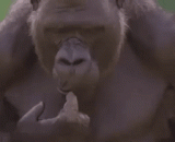 当面对选择题一点思路都没有的你 - You don't have a way of thinking in the face of a choice.