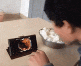 伙食还是挻不错的嘛 - Food is a good thing