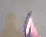 鱼都能训练成精，给跪了 - Fish can be trained to be fine and kneel