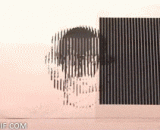 旋转的头 - A revolving head