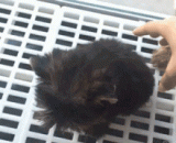 你特么的瞎啊，我又没惹你~~~ - You're blind. I didn't provoke you.