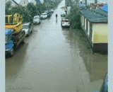 大兄弟 你车轱辘咋跑了呢 - How did your big brother run on your wheel