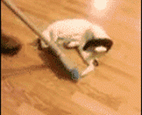 主银这个太好玩了，朕还想玩 - The main silver is so funny, I still want to play