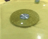 哈哈哈天呐！这种买单方式真刺激啊！ - Ha ha ha! This way of buying is really exciting.