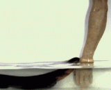 电鳗跃出水面电击敌人的瞬间是什么样子的[3P] - What is the appearance of the electric eel jumping out of the water and striking the enemy instantly? [3P]