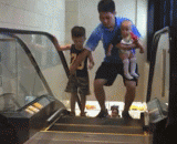 受到惊吓的网友们，都开始这么乘电梯了[4P] - The startled netizens began to take the elevator so [4P]