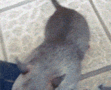 快来看看！我的宝宝可爱吗？ - Come and see! Is my baby cute?