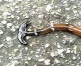 笄蛭（jī zhì）涡虫，微毒，蚯蚓的天敌 - J Zh, a natural enemy of earthworm.