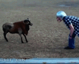 逗比以为穿个头盔就撞不到你了？ - The teasing thinks you can't hit you by wearing a helmet?