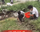 卧槽，好大一只“黄鳝”啊 - A grooves, a big 