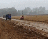 商标里带“五”的都这么牛？ - The brand with 