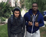 不是每只狗都可以逗的 - Not every dog can be teasing